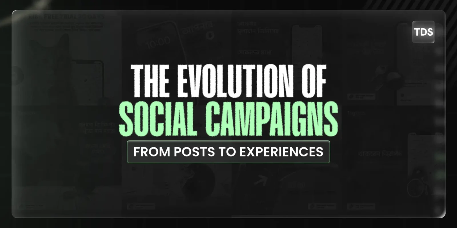 Social Campaigns