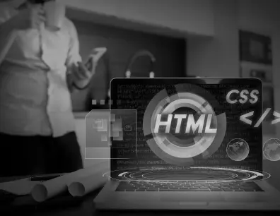 Custom web development services