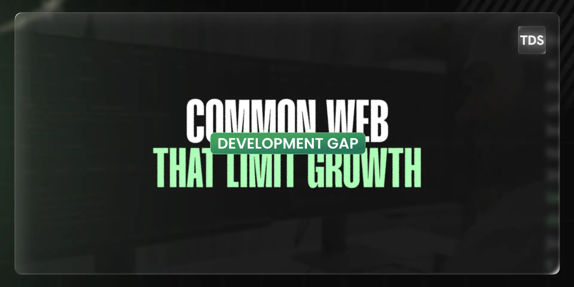 Web Development